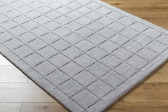 Sanvi Gray Area Rug - Ornate Home