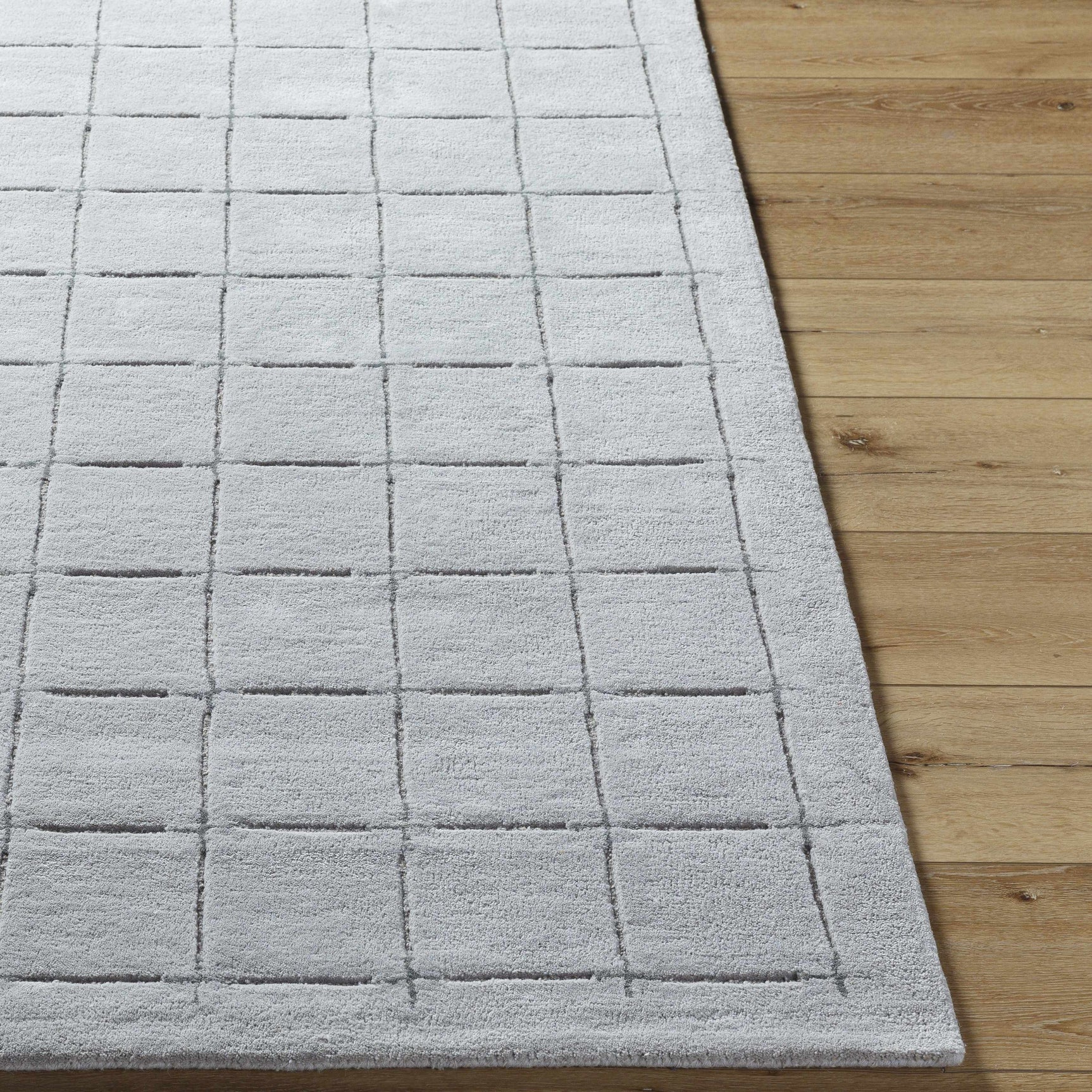 Sanvi Gray Area Rug - Ornate Home