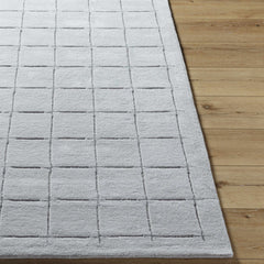 Sanvi Gray Area Rug - Ornate Home