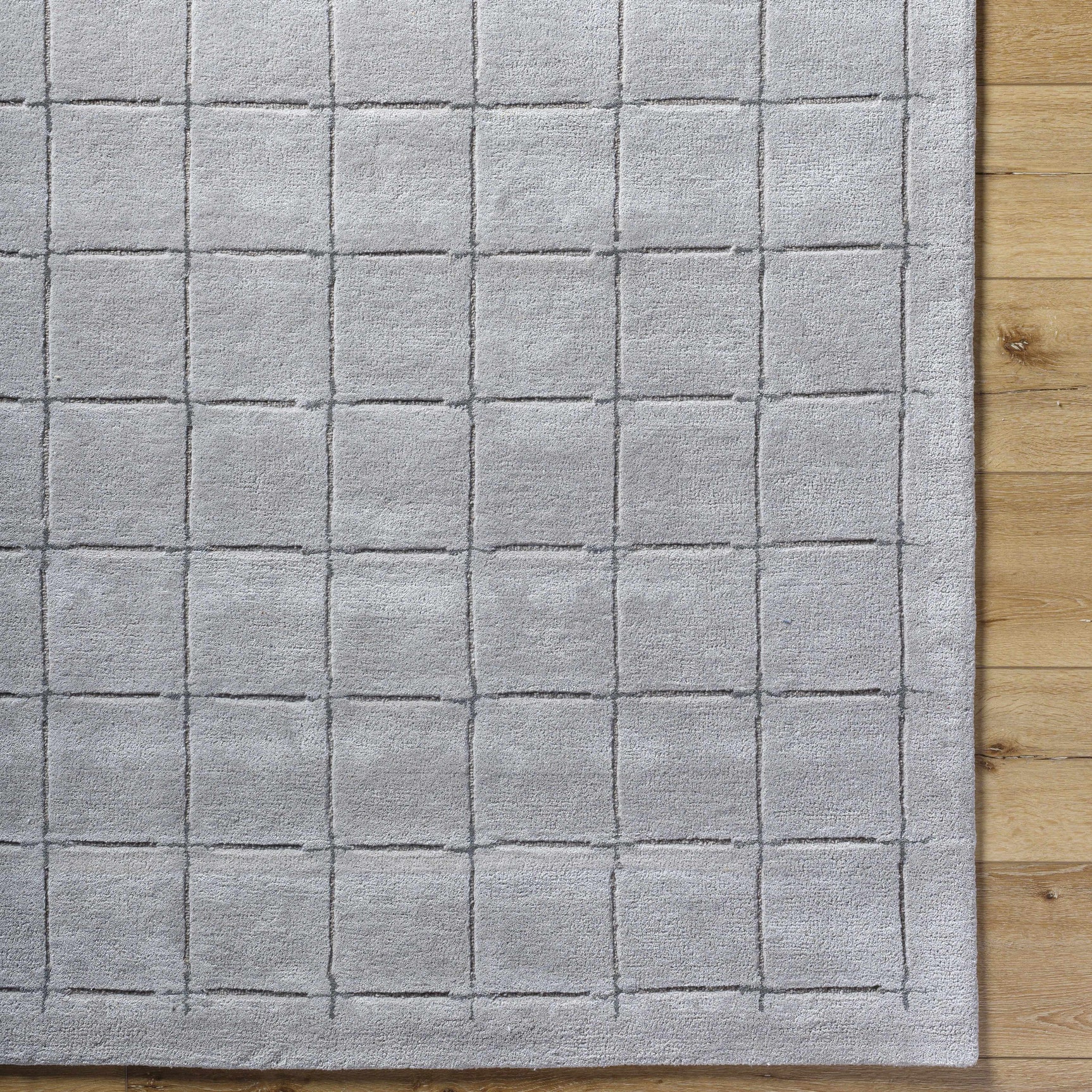 Sanvi Gray Area Rug - Ornate Home