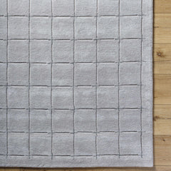 Sanvi Gray Area Rug - Ornate Home