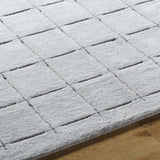 Sanvi Gray Area Rug - Ornate Home