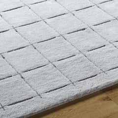 Sanvi Gray Area Rug - Ornate Home