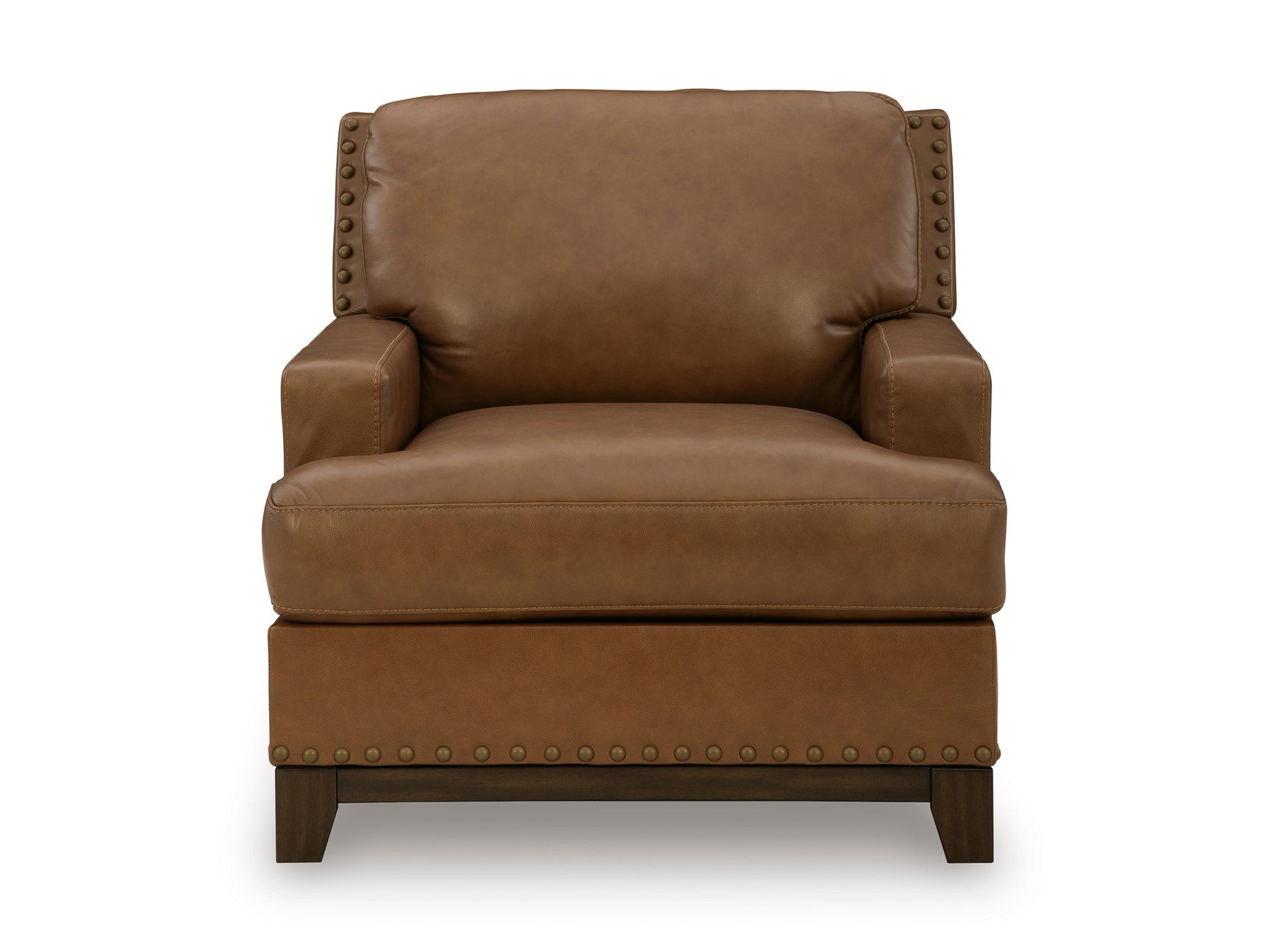 Saonara Amber Chair - Ornate Home