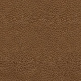 Saonara Amber Loveseat - Ornate Home