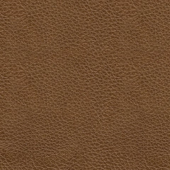 Saonara Amber Sofa - Ornate Home