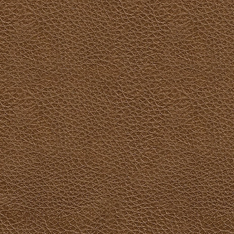 Saonara Amber Sofa - Ornate Home