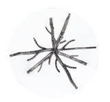 Sarna Gunmetal Side Table - Ornate Home