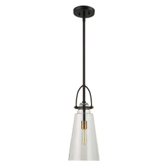 Saugus Black/Brass Industrial 1 Light Pendant - Ornate Home