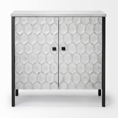 Savannah White/Gray Fir Veneer Metal 2-Door Accent Cabinet