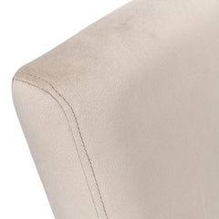 Sawyer Beige Side Chair (Set of 2) - Ornate Home