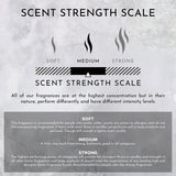 Blonde Woods | Rose | Black Fig Surface Cleaner (Inspired by The EDITION Hotel®)