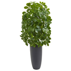 Schefflera Artificial Plant in Gray Planter (Real Touch) - Ornate Home