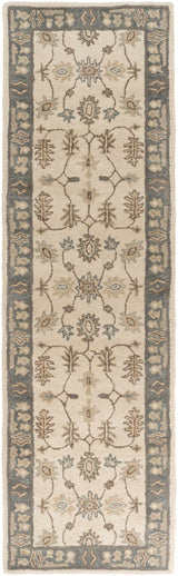 Schenevus Area Rug - Promo - Ornate Home