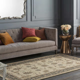 Schenevus Area Rug - Promo - Ornate Home