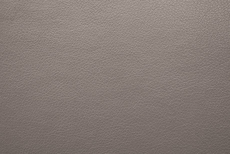 Schlieren Light Brown Leatherette Reclining Loveseat - Ornate Home