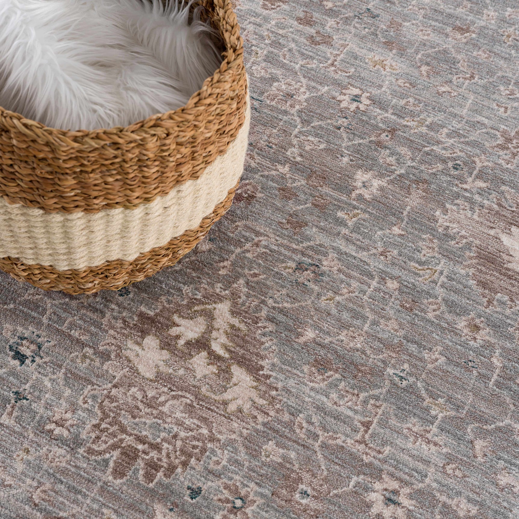 Scole Area Rug - Clearance - Ornate Home