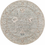 Scole Area Rug - Clearance - Ornate Home