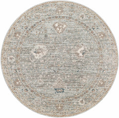 Scole Area Rug - Clearance - Ornate Home