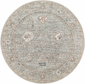 Scole Area Rug - Clearance - Ornate Home