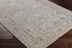 Scole Area Rug - Clearance - Ornate Home