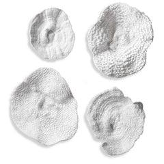 Sea Coral White Wall Art (Set of 4) - Ornate Home