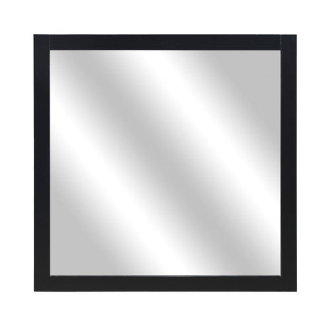 Seabright Black Mirror - Ornate Home