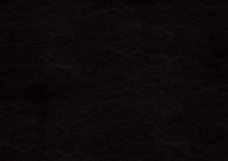 Seabright Black Queen Bed - Ornate Home