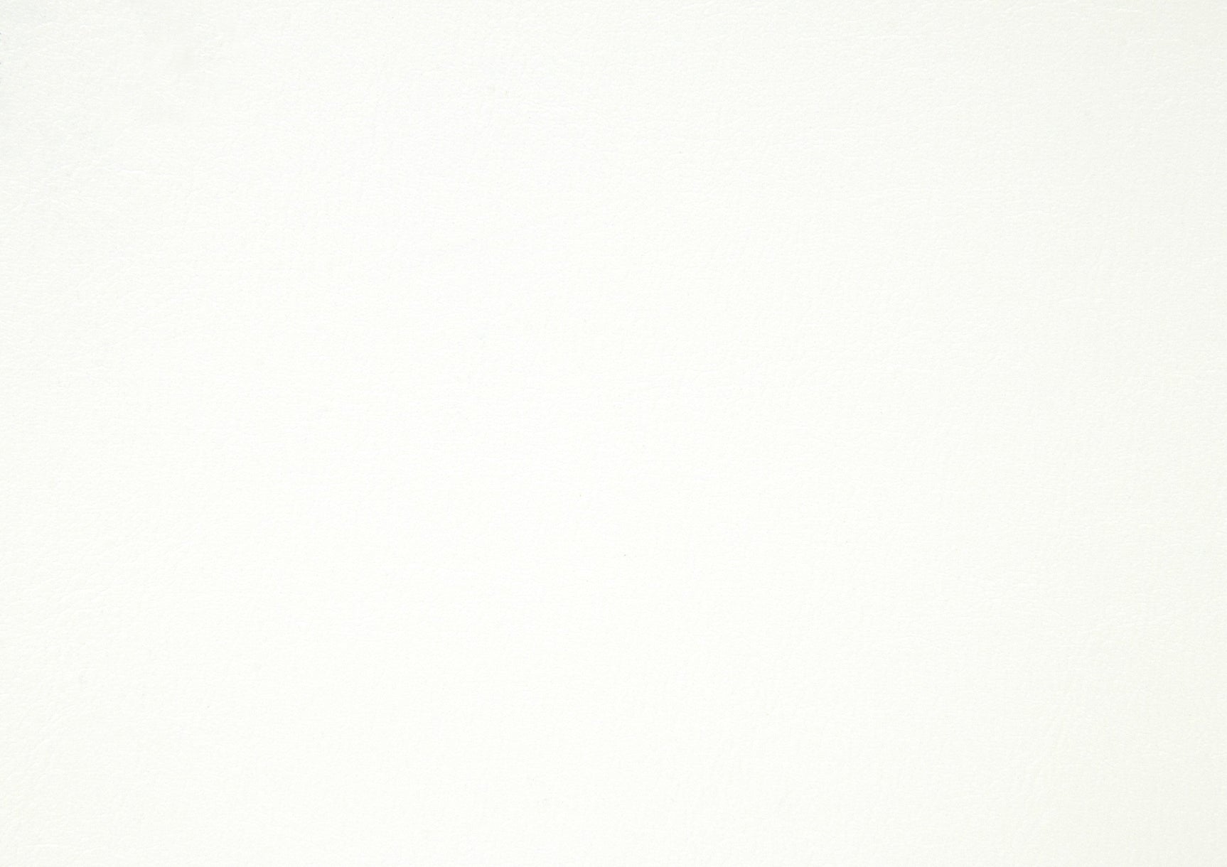 Seabright White Queen Bed - Ornate Home