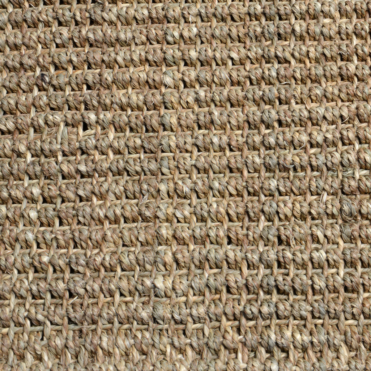 Seagrass Neutral Rug - Ornate Home