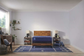 Sealy® Carrington Chase Spring Travelers Rest Innerspring Medium Tight Top Mattress - Ornate Home