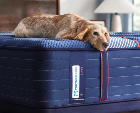 Sealy® Posturepedic® Elite Albany II Firm Mattress - Ornate Home