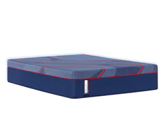 Sealy® Posturepedic® Elite High Point II Hybrid Firm Mattress - Ornate Home