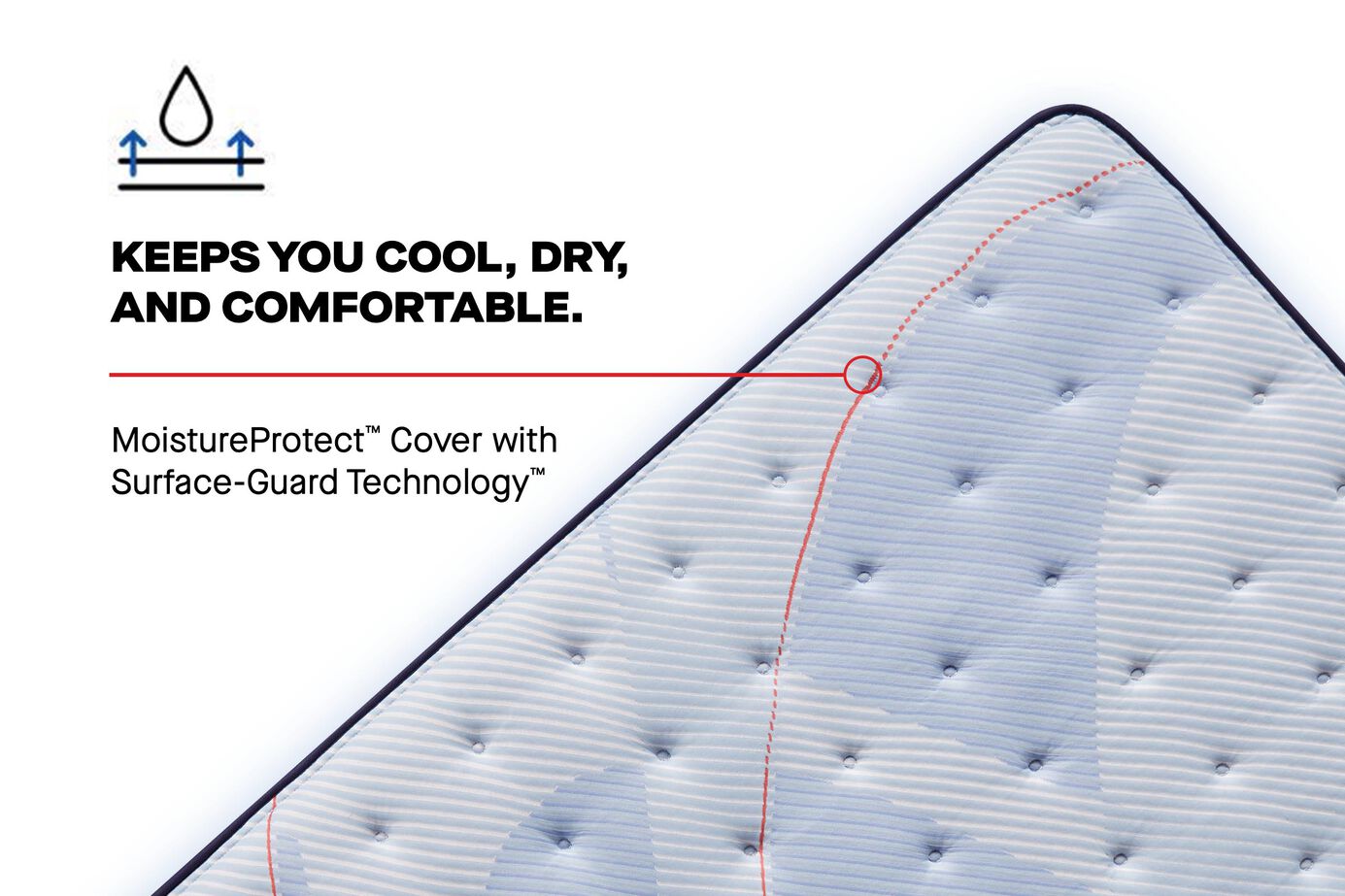 Sealy® Posturepedic® Paterson II Ultra Firm Mattress - Ornate Home