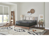Sealy® Posturepedic® Plus Hybrid High Point Firm Mattress - Ornate Home