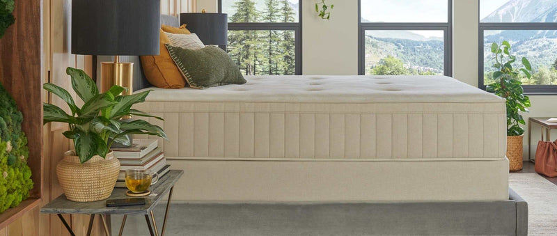 Sealy® Naturals™ Hybrid Medium Mattress - Ornate Home