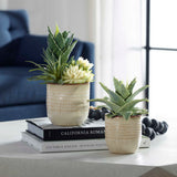 Seaside Succulents Brown/Green (Set of 2) - Ornate Home