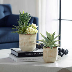 Seaside Succulents Brown/Green (Set of 2) - Ornate Home