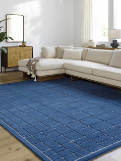 Sedna Navy Wool Area Rug - Ornate Home
