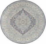 Sema Blue Medallion Rug - Clearance - Ornate Home
