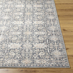 Semaj Area Rug - Clearance - Ornate Home