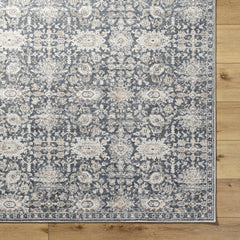 Semaj Area Rug - Clearance - Ornate Home
