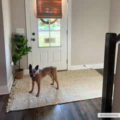 Senneterre Bleached Jute Rug - Ornate Home