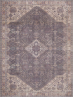 Seok Washable Area Rug - Clearance - Ornate Home