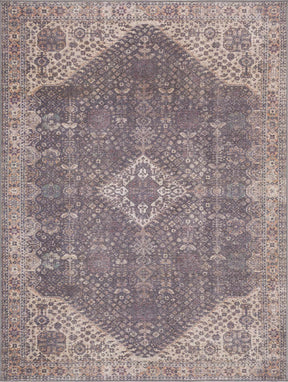 Seok Washable Area Rug - Clearance - Ornate Home