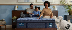 Serta Blue iSeries NXG 2500 Twin XL 12.5" Plush Memory Foam Mattress - Ornate Home