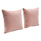 Set of (2) 16" Square Accent Pillows in Blush Pink Velvet by Diamond Sofa - Ornate Home