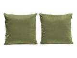 Set of (2) 16" Square Accent Pillows in Sage Green Velvet by Diamond Sofa - Ornate Home