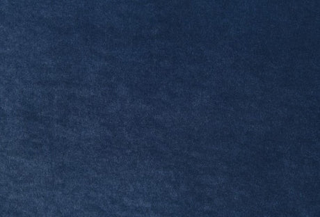 Severo Royal Blue Loveseat - Ornate Home