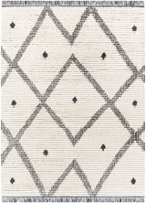 Shae Area Rug - Ornate Home